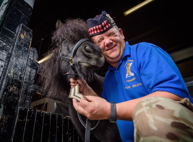 Pictured is The Royal Regiment of Scotland's only four-hooved Lance Corporal, after earning his second stripe! ..Scotland’s most famous Shetland Pony, the Royal Regiment of Scotland’s mascot, Lance Corporal Cruachan IV, can now add another stripe to his ceremonial uniform. He’s been promoted to Corporal! Cruachan, 9, is based at Edinburgh’s Redford Barracks and has been the official Mascot of the regiment since his current stablemate and companion, Cruachan 3rd retired in September 2012 after more than 20 years in the role. ..His handler, Pony Major Mark Wilkinson, has been with him since then and has trained him in the drill and etiquette skills required for his high-profile ceremonial role. Since taking on the job, Cruachan and Mark have led countless parades and attended hundreds of regimental events all over the world, including many in the presence of Her Majesty The Queen and other members of the Royal Family. ..They have also appeared in front of hundreds of thousands of audience members at t