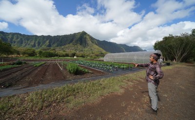 Ahiki Acres farmer Haley Miyaoka stands fronting their plot of land in Waimanalo.