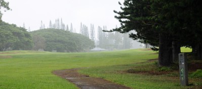 Princeville Glamping Project Would Require Affordable Housing