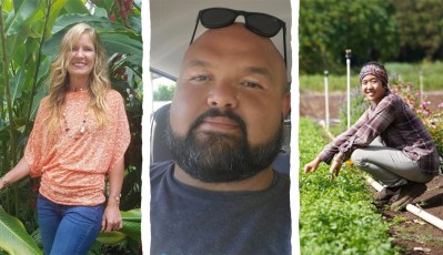 Here’s How These Hawaii Workers Are Navigating The Pandemic Economy