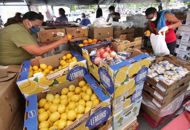 Volunteers during a free food distribution event at the Windward mall, in Kaneohe, Monday, Sept. 21, 2020. The two Windward side events this month organized by Hawai’i Health & Harm Reduction Center and the Hawaii Foodbank were some of the few distributions to provide fresh produce. (Photo: Ronen Zilberman/Civil Beat)