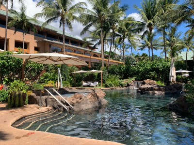 Larry Ellison Wants Off Lanai’s Electric Grid. That Could Be A Problem For Everyone Else