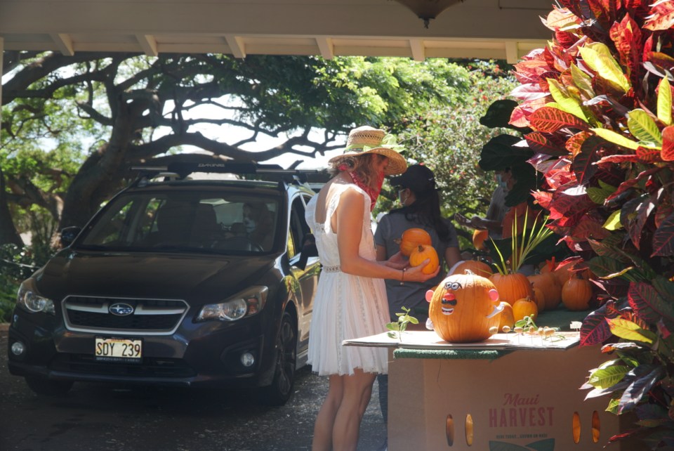 The drive-through Mahi Pono Fall Festival at Yokouchi Family Estate on Maui sold pumpkins and other items as a fundraiser. Net proceeds from all pumpkin sales will benefit Imua Family Services and its community-based
program that serves Maui County families by providing resources that assist keiki with overcoming developmental learning challenges. (Photo: Maui Pono)