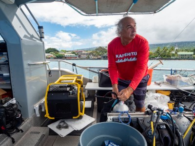 CARES Act Money Is Keeping This Big Island Tour Company Afloat