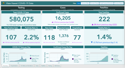 COVID-19 Data: Dashboards Galore, But Key Data Still Sparse