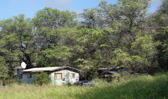 Mano Avenue home nestled in Kiawe trees in Nanakuli, Waianae.