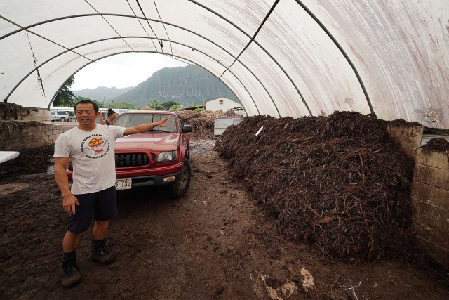 Small Kine Farm’s Fung Yang stands near the compost that he grows his Portabello’s on in Waimanalo.