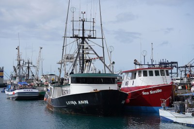 Transforming The Fishing Industry In The Information Age