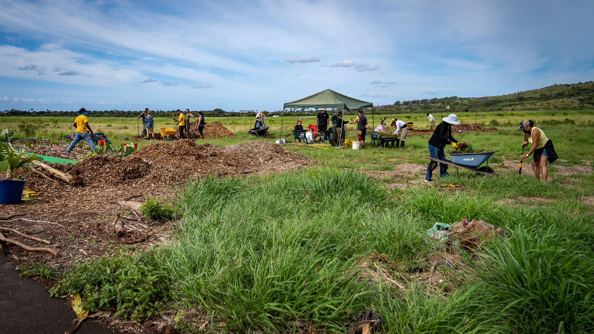 Westside Coconuts Niu Volunteers Wide