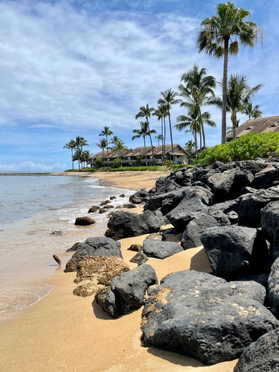 Beth Fukumoto: We Need To Put Our Money Where Our Mouth Is To Solve The Climate Crisis