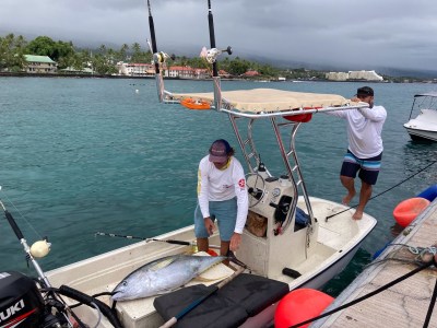 Support Small Fishermen By Making It Easier To Buy Fresh Off The Boat