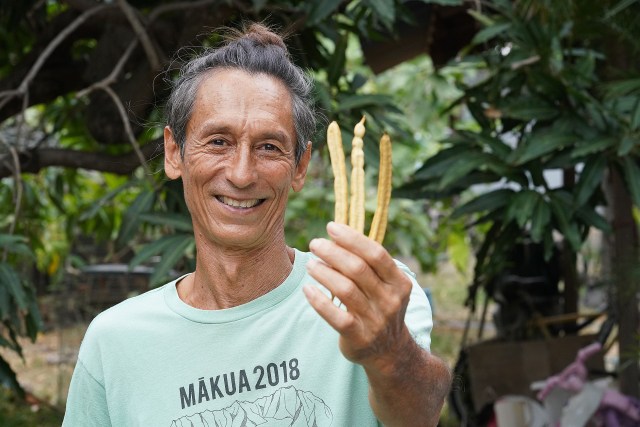 Vince Dodge holds some Kiawe seed pods. The Kiawe seeds are ground to make Waianae Gold, Kiawe seed flour.