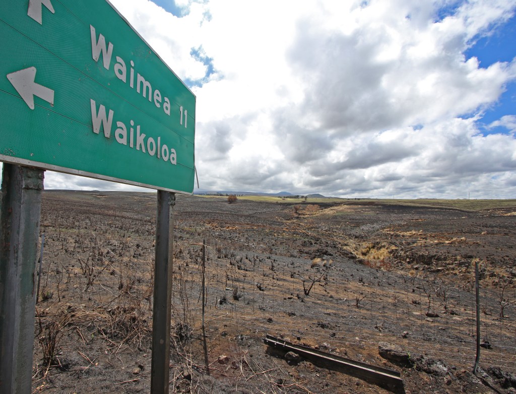A highway sign scorched by the July 31th brush fire points towards Waikoloa Village.  Photo: Tim Wright