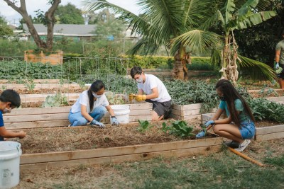 How Hawaii Can Make Farm To School Actually Happen