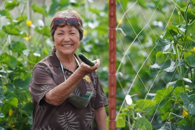 Senator Michelle Kidani stands in a cucumber field at Ho Farms in Wahiawa.