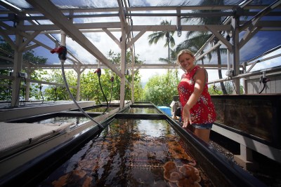 How Cancer Research May Play A Role In Saving Hawaii’s Coral Reefs