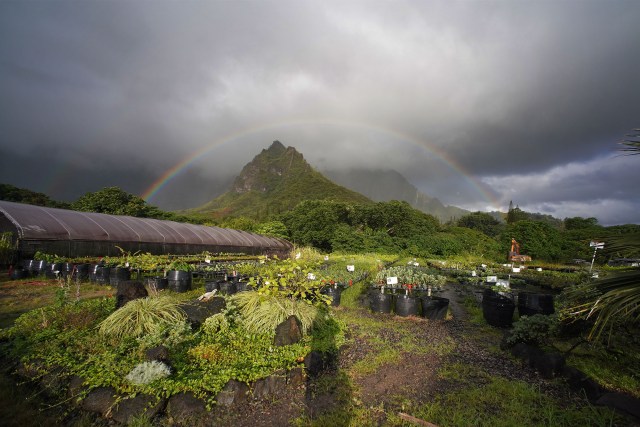 Rainbow forms along the Koolau mountains while standing at Hui Ku Maoli Ola.