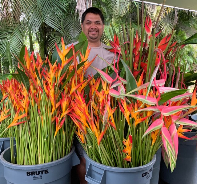 Shane Castillo, owner of C&C Tropicals, is known for selling red ginger on Hawaii island.