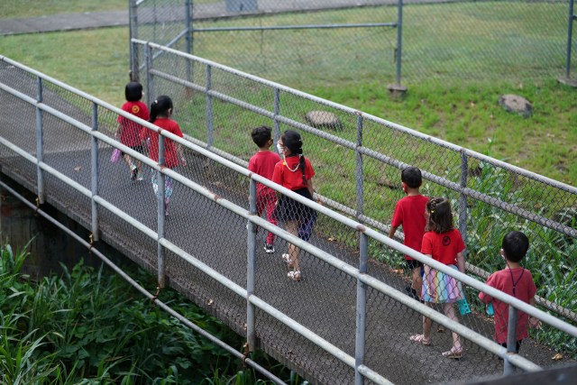 Pauoa Elementary School walk towards an open field for recess.