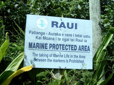 Conference Tackles Overfishing In The World’s Oceans