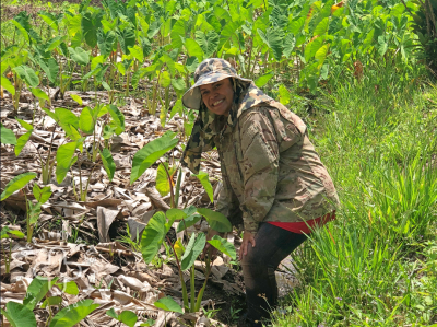 Palau Is Bolstering Food Security With A Mix Of Tradition And Innovation