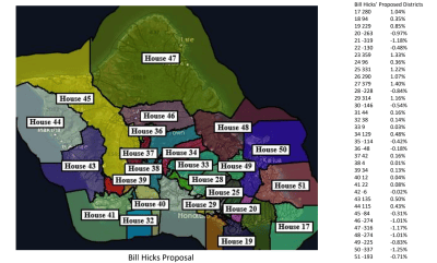 The Plan To Redraw Hawaii’s Political Lines Goes Out For Public Comment