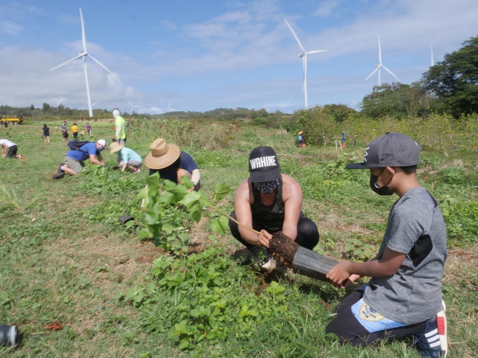 Daphne Cabileo and her son Cain volunteer with the Rotary Club of Honolulu to help plant trees at the Gunstock Ranch in Lai'e, Saturday, October 2, 2021. The planting and care of existing trees at the ranch is part of an ongoing project the Rotary is participating in with the Hawaiian Legacy Reforestation Initiative. (Ronen Zilberman photo Civil Beat)