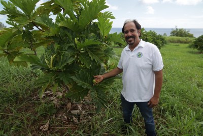Kamehameha Schools Creates $10 Million Fund For Hawaii Food Producers