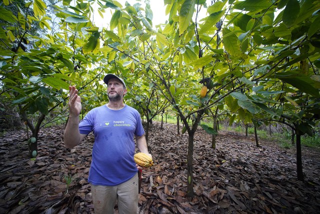 Lonohana Estate Chocolate founder Seneca Klassen stands with the canopy of his orchard of Cacao trees.