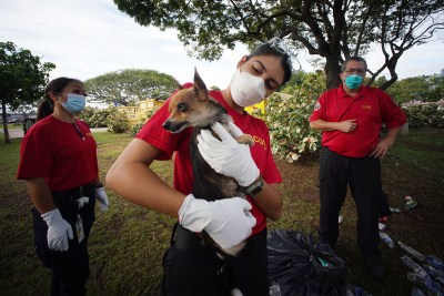 SLIDESHOW: 2021 — The Year In Photographs