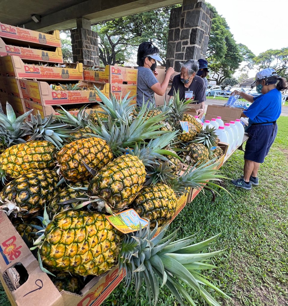 Volunteers at the Central Union Church in Honolulu prepare bags of food donations to give away to approximately 450 community members in need, Wednesday, December 15, 2021. (Ronen Zilberman photo Civil Beat)