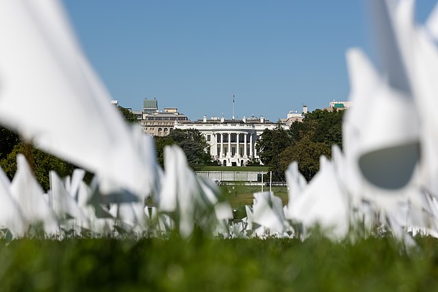 flags on the National Mall lawn symbolizing the number of American lives lost to Covid-19