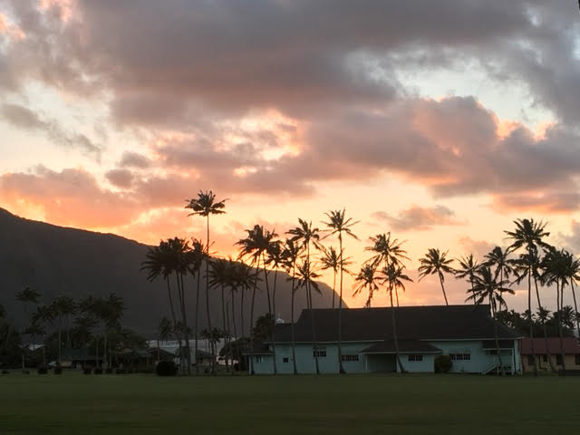 A pink and yellow sunset with palm trees in Kalaupapa peninsula.