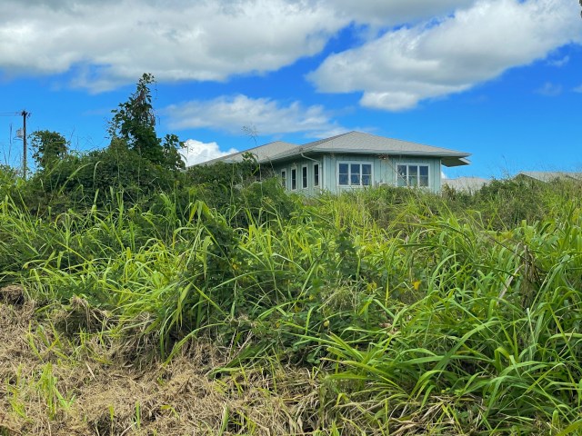 Kauai's adolescent treatment center facility is overgrown with weeds.