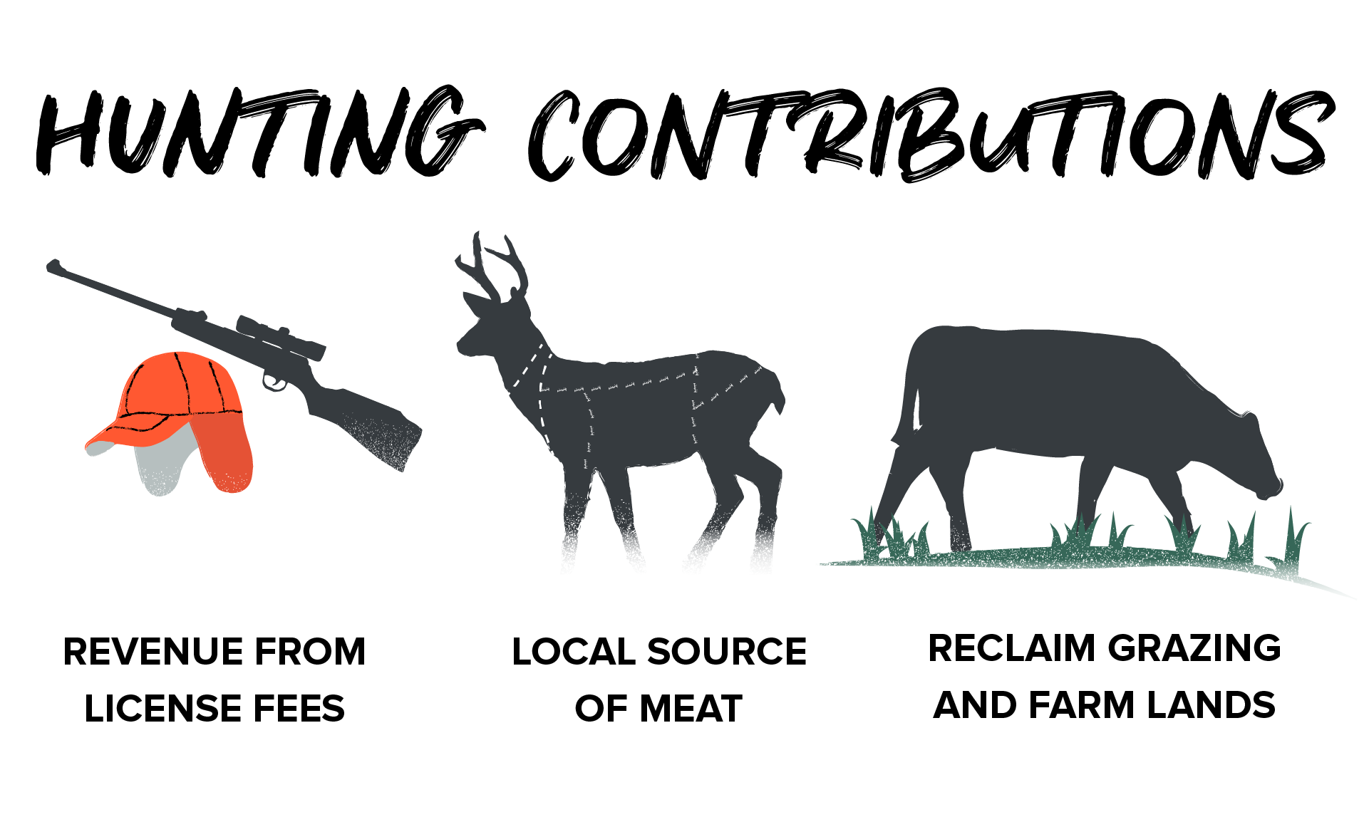 Infographic of contributions from hunting deer on Maui