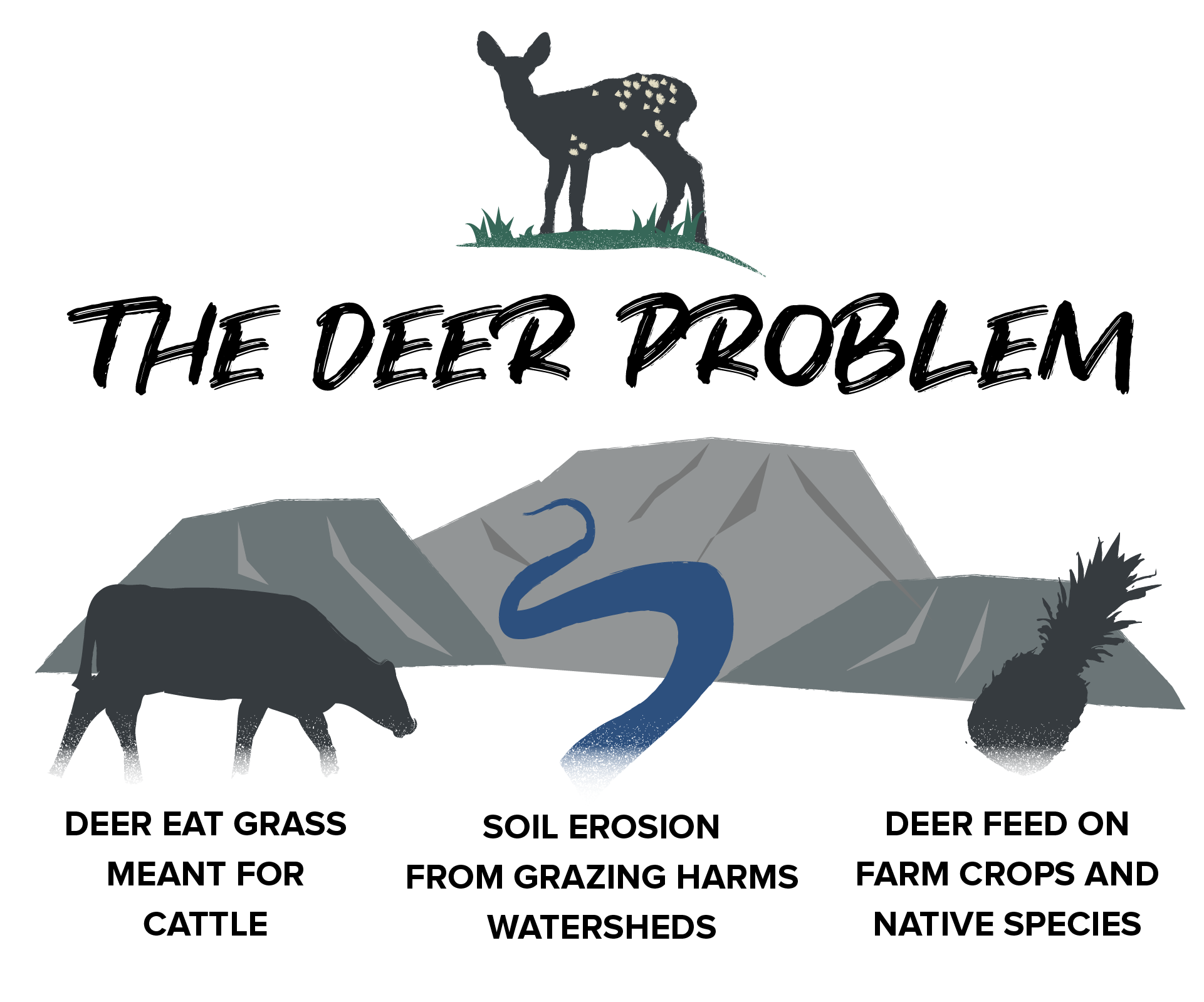 Infographic of problems caused by deer on Maui