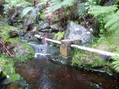 State Orders Water To Flow Once Again In Five Molokai Streams