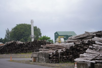 Utility And Biomass Company Ask Hawaii Commission To Reconsider Decision