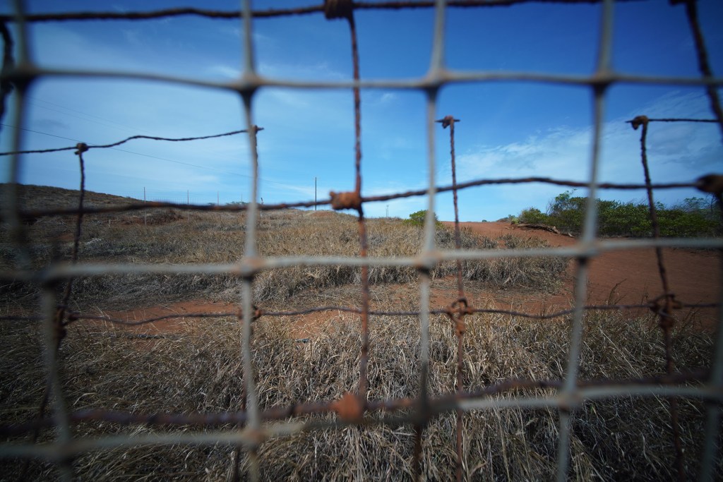 Is Fencing The Future Of Hawaii’s Native Ecosystems?