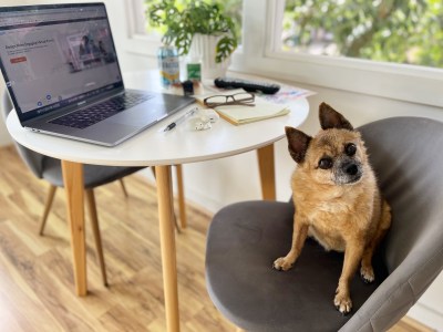 Catherine Toth Fox: Put On Some Real Clothes And Go Back To The Office