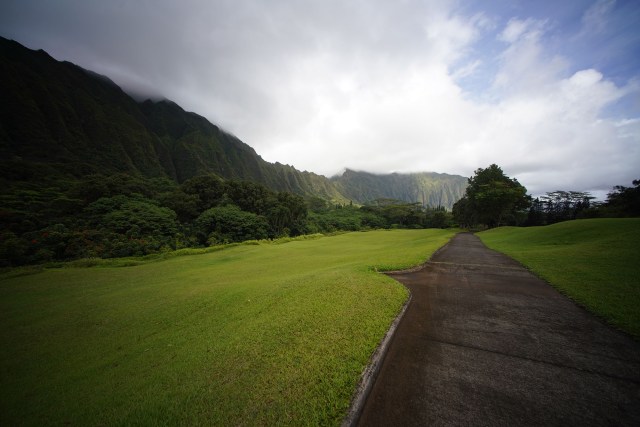 First Presbyterian Church of Honolulu at Koolau volunteers assist in girdling Albizia trees and clean up on their property.