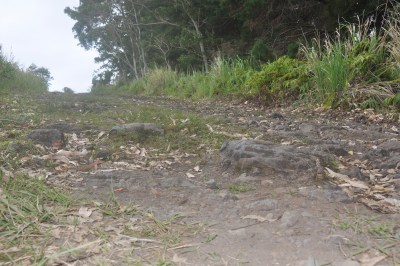 GPS Mix-Up Sends Big Island Tourists On Potentially Dangerous Route