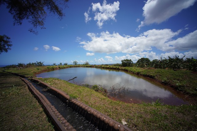Water flows near a reservoir located along Kaukonahua Road near Wailua, Oahu.