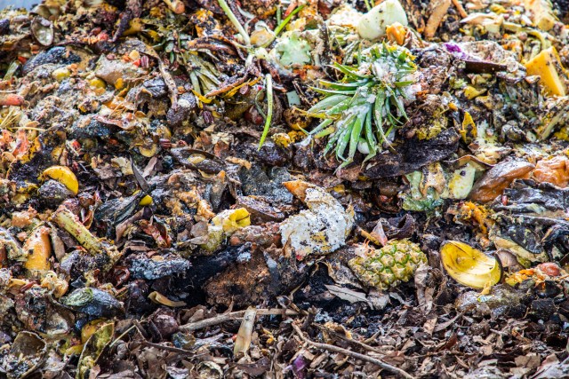 Sustainable Coastlines Composting Machine