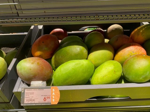 mangoes mango trees prices supermarket