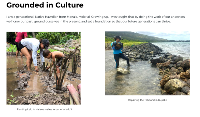 From Mahina Poepoe's campaign website.