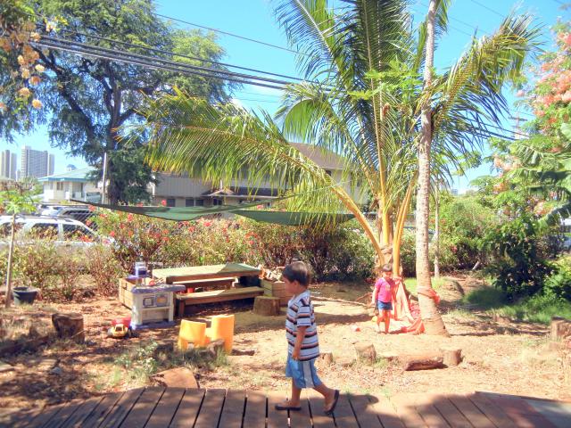 University of Hawaii Manoa Children's Center Preschool Pre-K Education