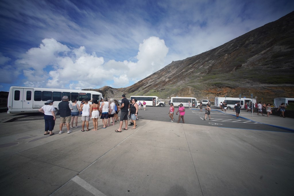 Parked buses at the Halona Blow Hole parking lot.