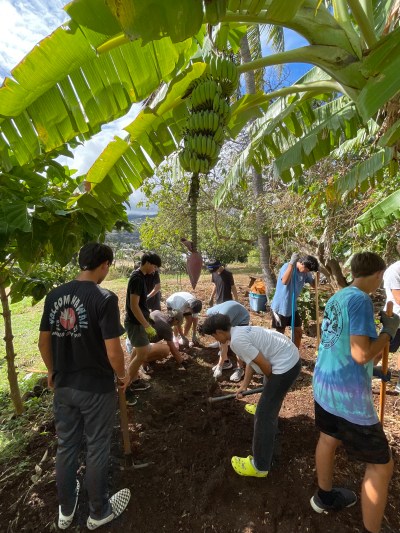 Kaiser Peace and Sustainability Garden