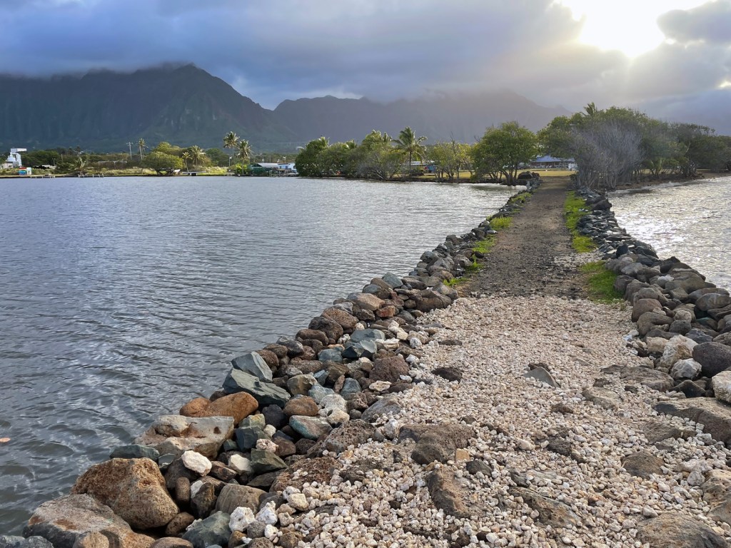Research at Waikalua Loko will help determine the future of striped mullet in its waters.